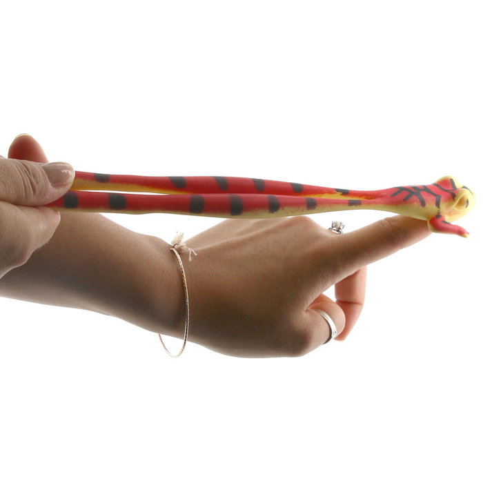 Jeux 2 momes Grenouille ou Serpent Élastique 2 m Jeux 2 momes Grenouille ou Serpent Élastique 2 m