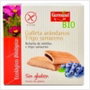 Germinal Bio Galettes aux Myrtilles et Sarrasin sans Gluten 200g