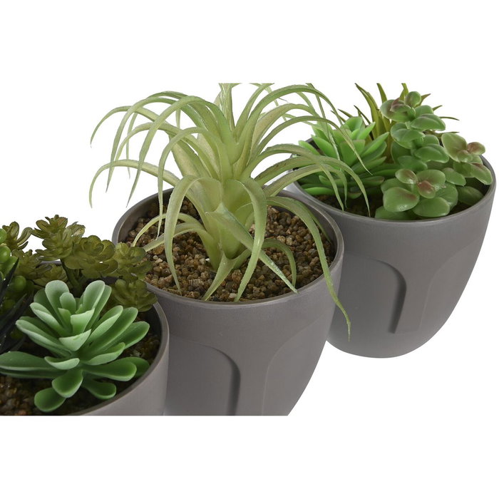 Plante décorative DKD Home Decor Gris Beige Polyéthylène Vert polypropylène (11 x 11 x 15 cm) (3 Unités)