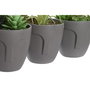 Plante décorative DKD Home Decor Gris Beige Polyéthylène Vert polypropylène (11 x 11 x 15 cm) (3 Unités)