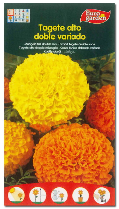 Semillas Finstock Fito Flores Tagete Alto Variado Clavel 00546 (Boîte de 10) Semillas Finstock Fito Flores Tagete Alto Variado Clavel 00546 (Boîte de 10)