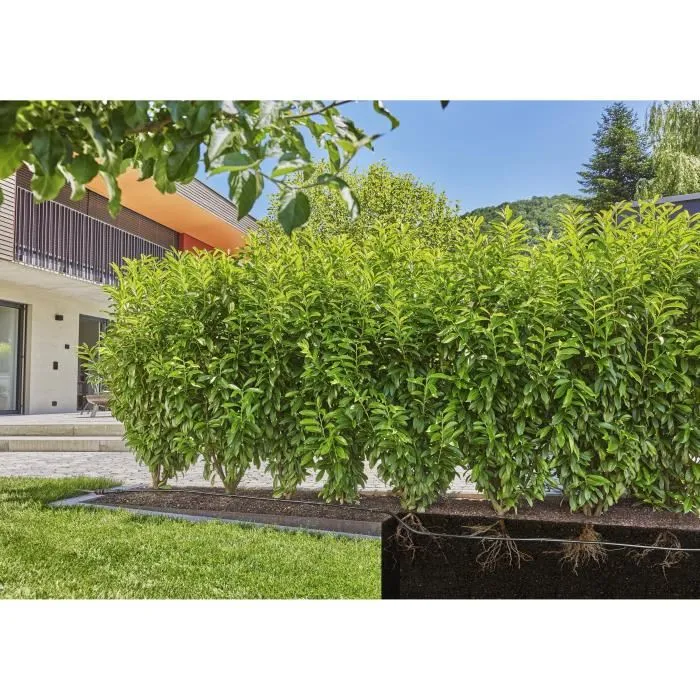 Gardena - Extension de tuyau avec goutteurs intégrés 25 m, pour arrosage enterré ou en surface - Réf. 495x108x495 mm