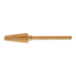 Thuya Fresa Conica pour sculpture d'ongles