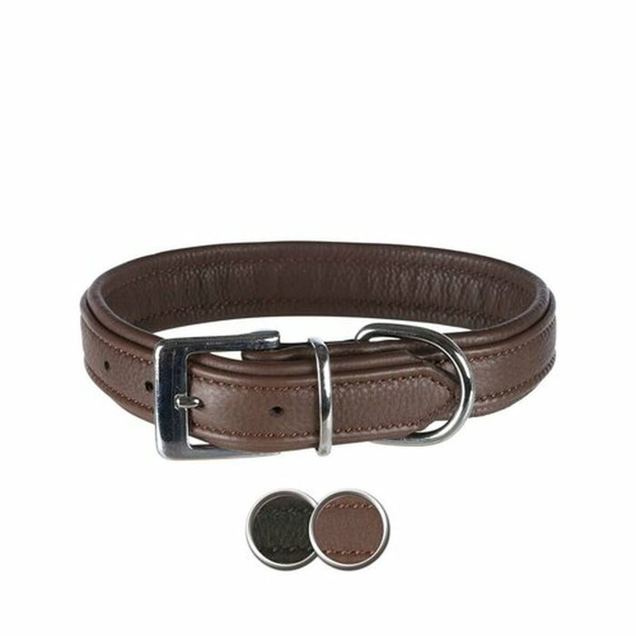 Collier pour Chien Trixie Active Comfort Noir 31-37 cm