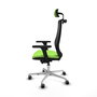 Piqueras y Crespo Chaise de Bureau Mardos avec Appui-tête, Accoudoirs 3D et Mécanisme Sincro/Traslack, Pistache et Noir
