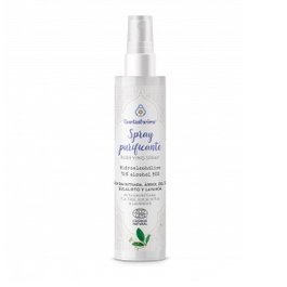ESENTIAL AROMS Spray Purifiant Hydroalcoolique Bio 100ml
