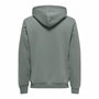 Sweat à capuche homme Only & Sons ceres ie Castor