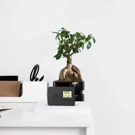 Evoom LEKIO - Radio réveil intelligent avec affichage date, heure, température et humidité, tuner FM, 2 alarmes, portable sur piles - Noir