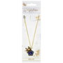 The Carat Shop Collier Harry Potter Grenouille en Chocolat