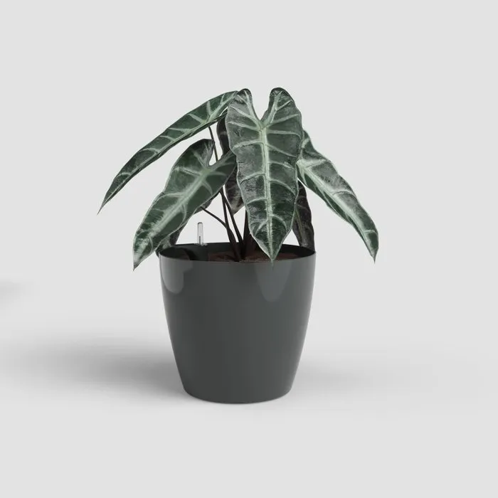 ARTEVASI San Remo SWS 30 BR - Pot de fleurs sur pieds pour intérieur et extérieur - Plastique résistant aux UV - 30 x 27 cm, 14.5 L - Gris anthracite