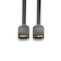 Lindy Câble DisplayPort 1.4 Anthra Line 3 mètres, version 1.2, Triple Blindage, 28AWG, Connecteur Or, 4K 60Hz 32 Canaux Audio, pour Installation AV/IT Professionnelle