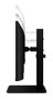 LG 24BA550-B