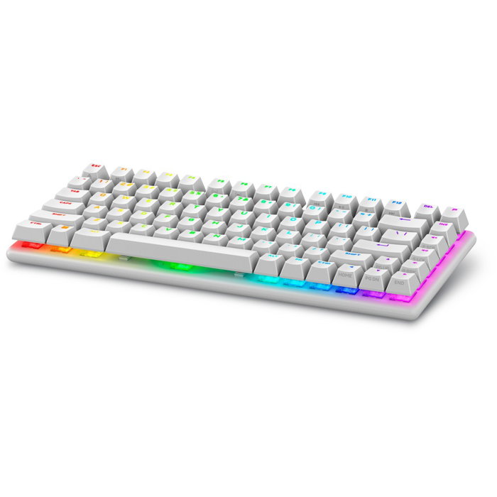 Dell Alienware Pro Wireless Gaming Keyboard Clavier Gaming Mécanique 75% QWERTY US Bluetooth/RF/USB-C Lunar Light Blanc Dell Alienware Pro Wireless Gaming Keyboard Clavier Gaming Mécanique 75% QWERTY US Bluetooth/RF/USB-C Lunar Light Blanc