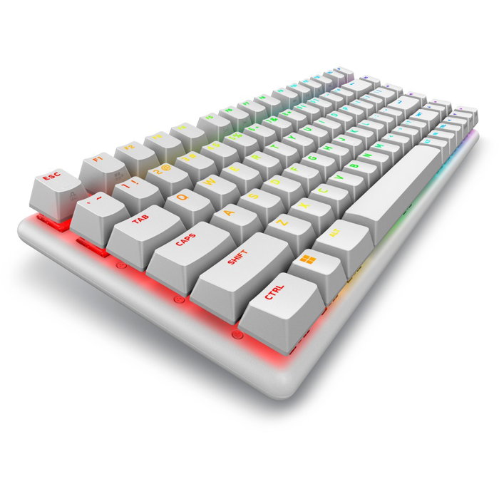 Dell Alienware Pro Wireless Gaming Keyboard Clavier Gaming Mécanique 75% QWERTY US Bluetooth/RF/USB-C Lunar Light Blanc Dell Alienware Pro Wireless Gaming Keyboard Clavier Gaming Mécanique 75% QWERTY US Bluetooth/RF/USB-C Lunar Light Blanc