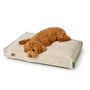 Lit pour chien Hunter Belluno Beige 100 x 70 cm