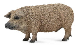 COLLECTA Cochon Mangalica - Échelle M