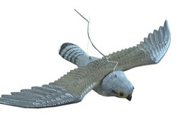 PLUVIA AGUILA VOLADORA 58X35X10 REF. 501