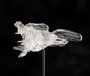 FREEing R-Type Figma Dobkeratops 20 cm