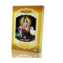 Radhe Shyam Henna Poudre Blond Intense