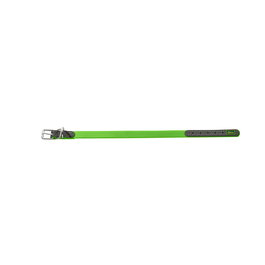 Collier pour Chien Hunter Convenience 53-61 cm L/XL Vert