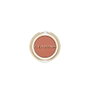 Clarins Ombre Skin Fard à paupières 04 Bois de rose mat