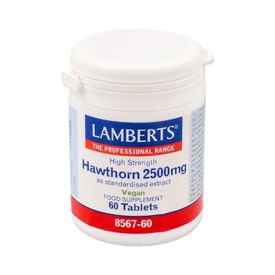 LAMBERTS Espino Blanco 2500 mg