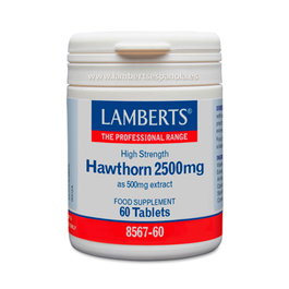 LAMBERTS Espino Blanco 2500 mg 60 comprimés