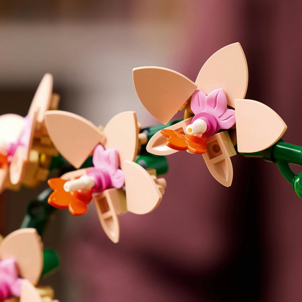 LEGO Miniorchidée 10343 Botanical