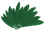Innspiro Plumes indio vert (60 unités)
