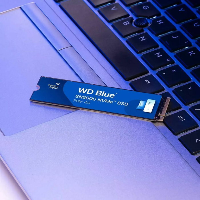 Disque dur Western Digital WDS500G4B0E 500 GB SSD Disque dur Western Digital WDS500G4B0E 500 GB SSD
