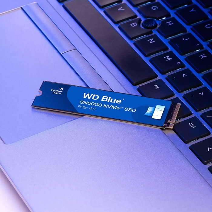 Western Digital WDS500G4B0E-00CNZ0 Blue SN5000 Disque SSD interne 500 Go