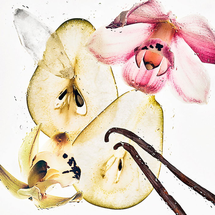 Calvin Klein Nude Vanilla Brume Corporelle Parfumée pour Homme et Femme 236 ml