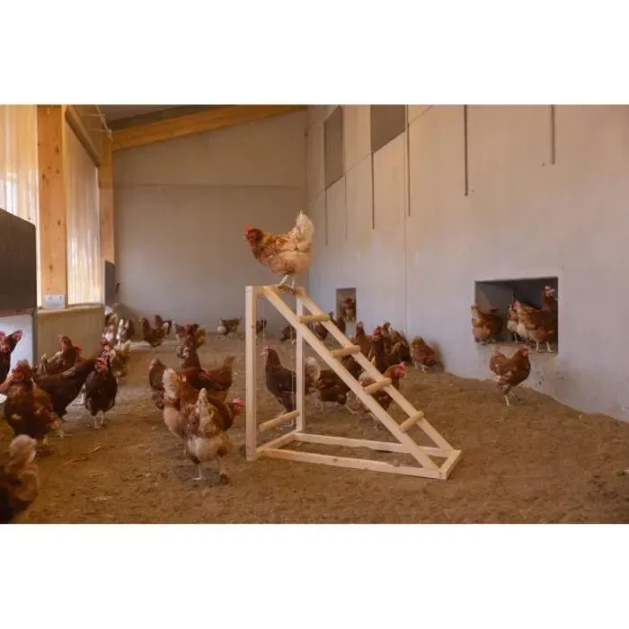 Kerbl Tour d'escalade avec balançoire pour poules - Échelle robuste - 85 x 55 x 76 cm