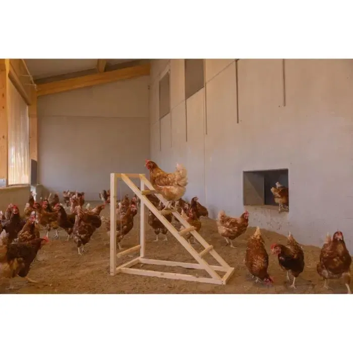 Kerbl Tour d'escalade avec balançoire pour poules - Échelle robuste - 85 x 55 x 76 cm