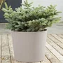 Element Pot de fleurs conique EDA - Ø 40 cm, 30 L, finition calcaire, résistant au gel et aux UV, système de drainage intelligent, fabriqué en France