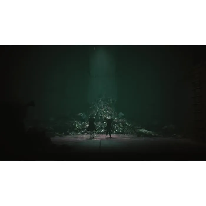 Bandai Namco Entertainment - Little Nightmares III - Edition Mirror - Jeu vidéo d'aventure et d'horreur coopératif pour Nintendo Switch