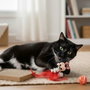 Cerdá Set pour animaux de compagnie jouet Minnie rouge 15.5 x 23.5 x 6.0 cm dès 36 mois