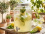 Vivalto Carafe avec refroidisseur 8L Summer