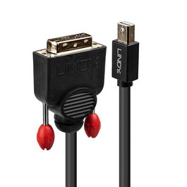 Lindy Câble adaptateur Mini DisplayPort vers DVI, 3 m, prise en charge vidéo jusqu'à 1920x1200@60Hz