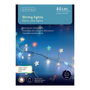Lumineo Guirlande LED décorative multicolore avec fil argenté, 80 LED, 1,5 m
