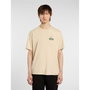 T-shirt à manches courtes homme Dickies Apison Ss Beige 6-7 ans