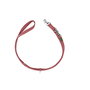 Laisse pour Chien Hunter Rouge 2 m Réglable