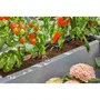 Gardena Kit d'initiation arrosage automatique pour terrasse jusqu'à 30 plantes Installation facile