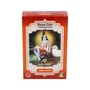 Radhe Shyam Henna Color Cobre Natural 100g