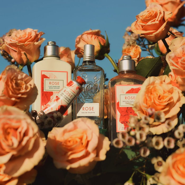 L'Occitane En Provence Crème Mains Rose 30 ml