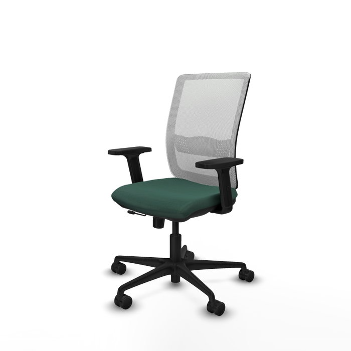 PIQUERAS Y CRESPO Chaise Haches Synchrone/Traslack Vert foncé/Blanc, Base nylon noir, Accoudoirs 2D, Sans appui-tête, Roulettes 65mm nylon PIQUERAS Y CRESPO Chaise Haches Synchrone/Traslack Vert foncé/Blanc, Base nylon noir, Accoudoirs 2D, Sans appui-tête, Roulettes 65mm nylon