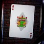 Tortues Ninja jeu de cartes à jouer