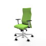 Piqueras Y Crespo Fauteuil Albacete, mécanisme synchrone, Pistache