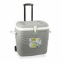 Hidalgo Glacière Rigide Portable Hidalgo Premium Gris 41 L