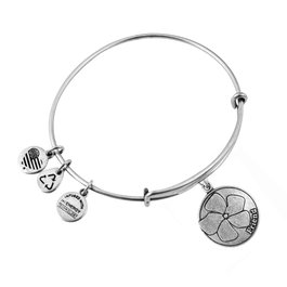Alex And Ani Bracelet Friend en Métal Gris, Taille 19-25cm